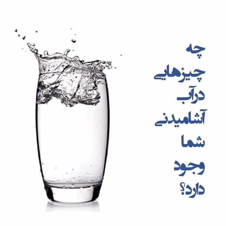 1697438110207.webp